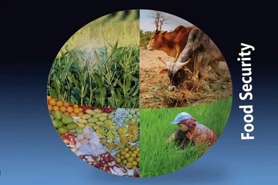 Food Security in the Face of Climate Change 2023