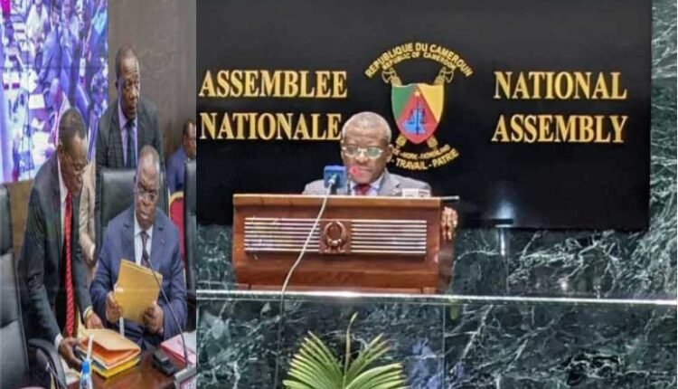 Cameroon Budget 2026: Infrastructure Development and Economic Growth Plans