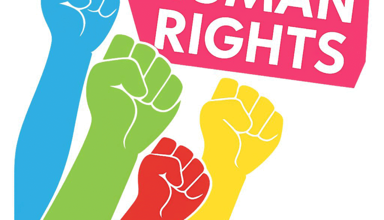 What are my basic rights Discover Your Essential Rights in America Today