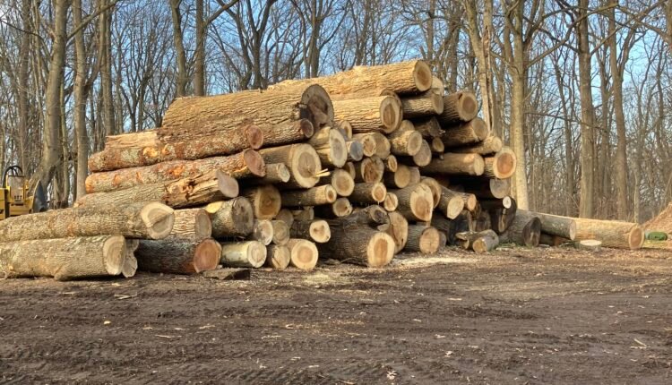 Professional Landscape Lighting in Summit Bridge